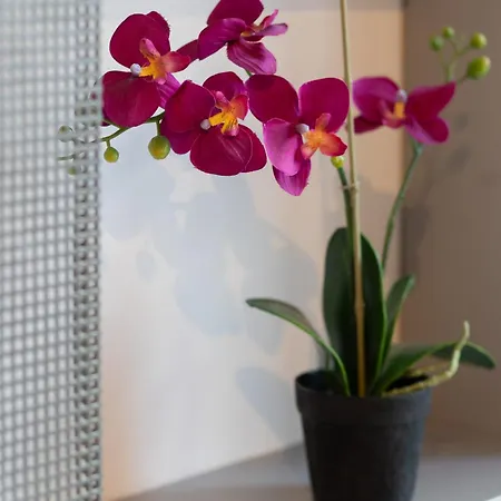 Comfort & Style Center By Renters Appartamento Varsavia