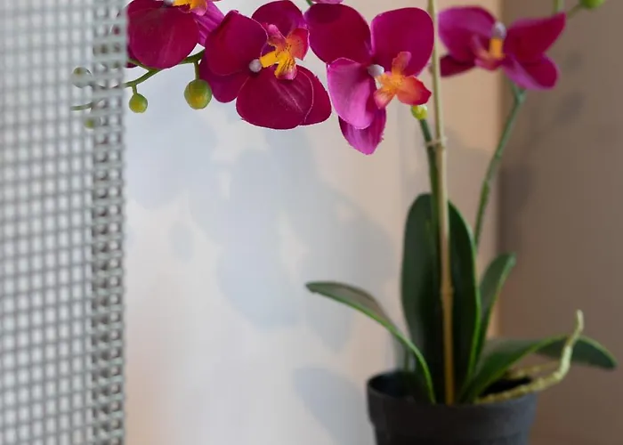 Comfort & Style Center By Renters Apartman Varsó