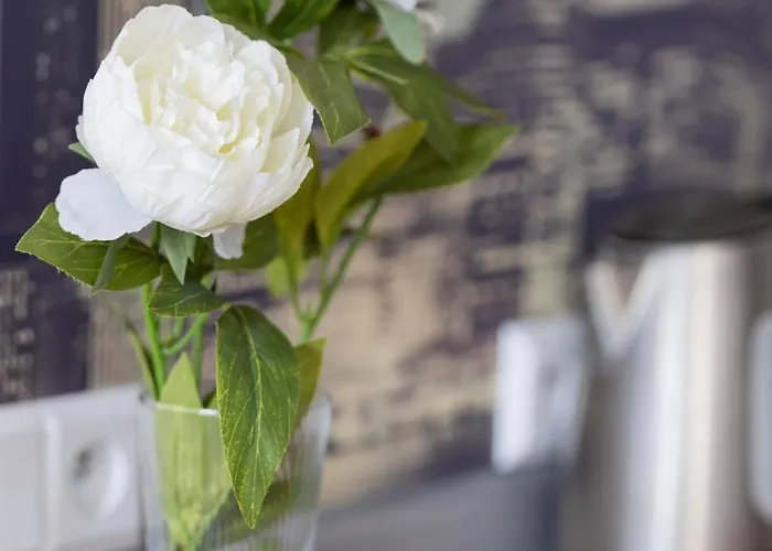 Comfort & Style Center By Renters Varsó